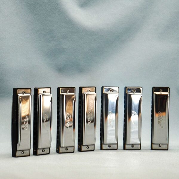 Keys Diatonic Harmonica для губна гармошка дорослих, студентів-початківців, дітей